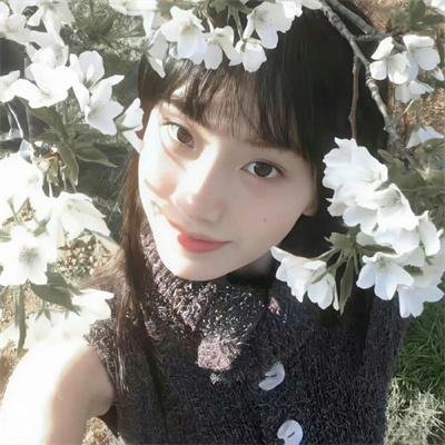 名侦探俱乐部 第八季